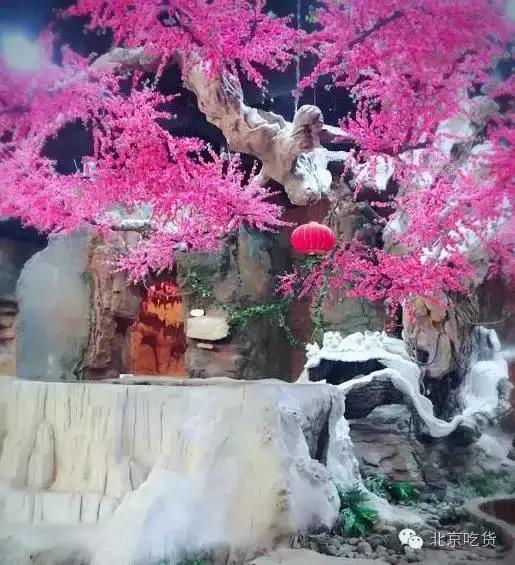 抓紧时间“约泡”才是大冬天最正经的事儿!