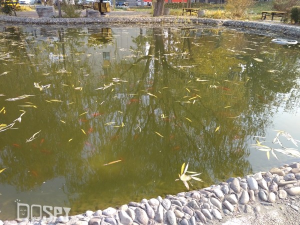 红米4a手机499元,红米4a全球销量排名