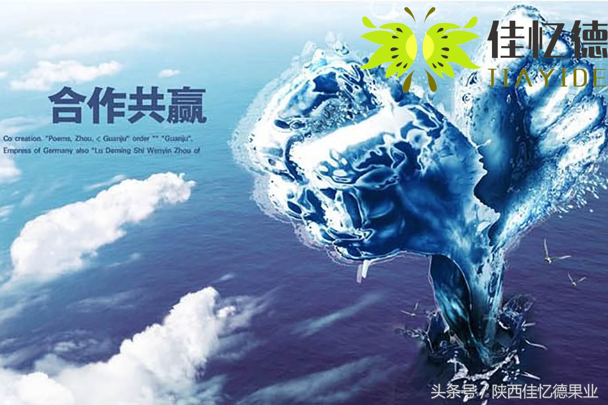 花了1500元买了张VIP门票，他带着商南猕猴桃走进了会场