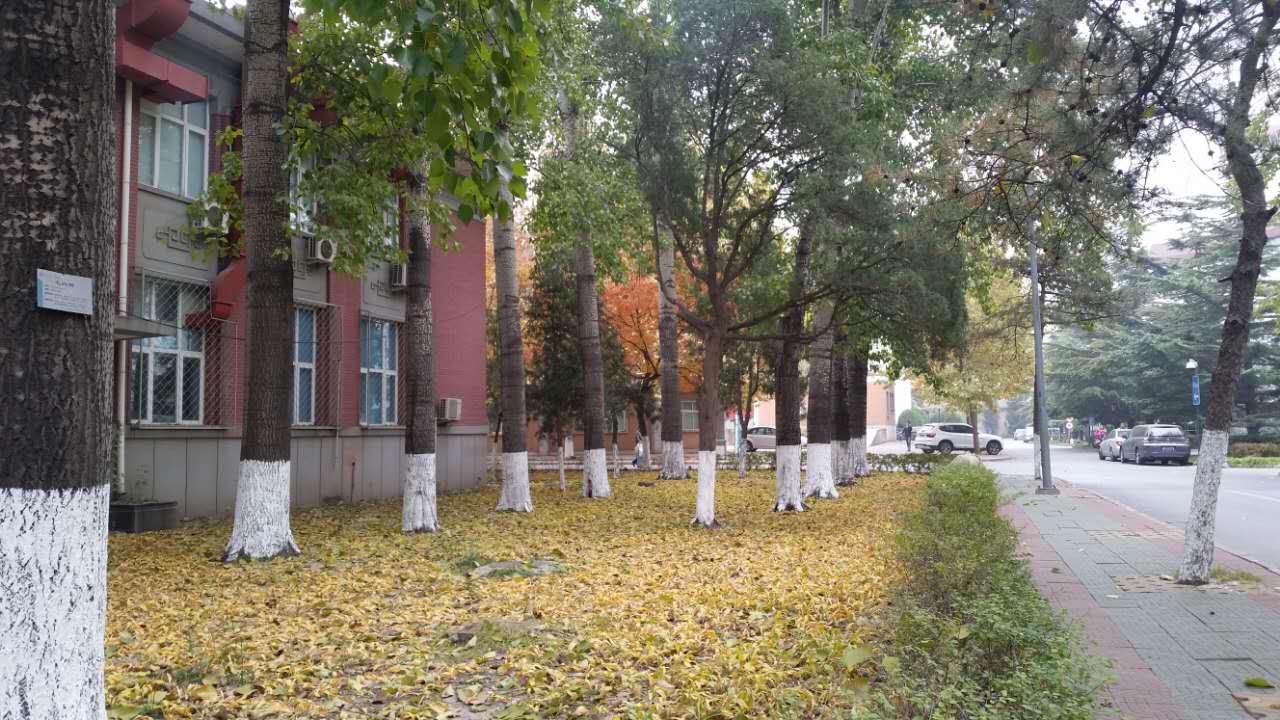 走进北师大,走进京师校园