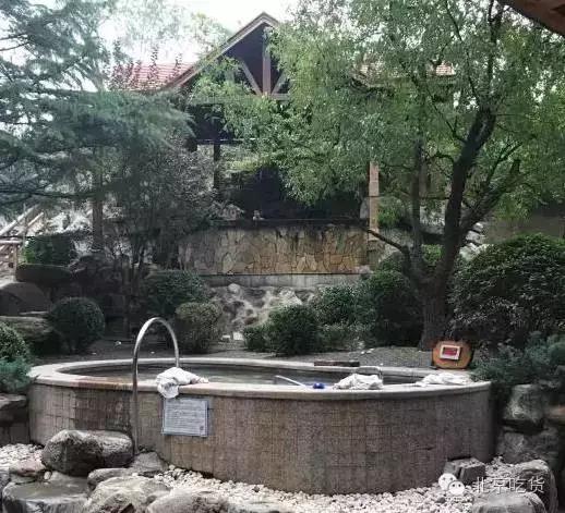 抓紧时间“约泡”才是大冬天最正经的事儿!