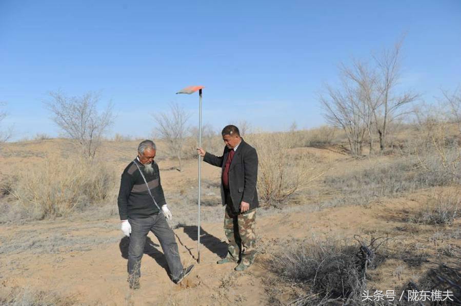父女开荒种树80万棵,父子绿化沙漠