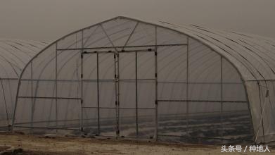 一亩钢架蔬菜大棚多少钱,搭建一个一亩的蔬菜大棚要多少钱