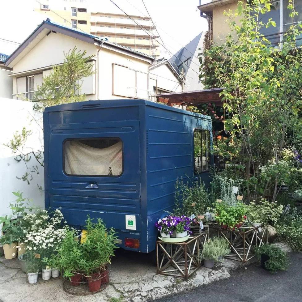 东京花店,东京南青山花店