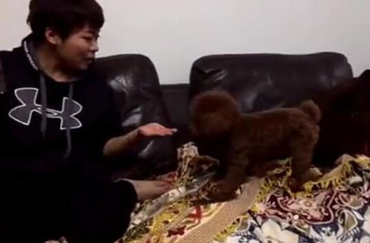 男子给小狗狗喝酒，狗狗的动作堪比济公！