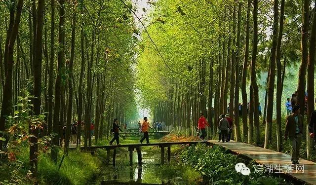 在滨湖，有9类人一眼就会爱上这里！