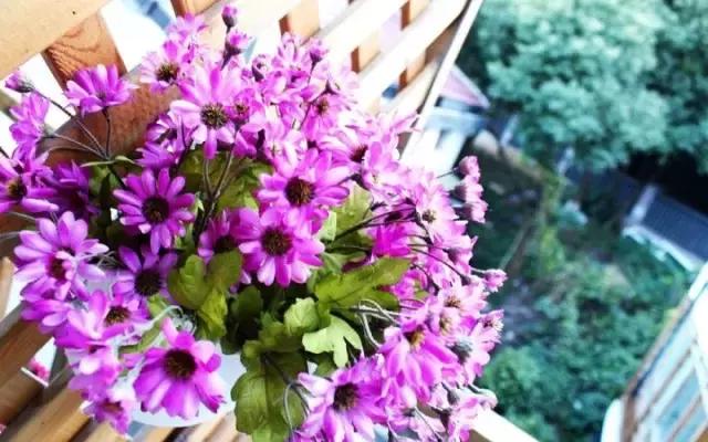 他颠覆我们心中理工男的形象，砸锅卖铁造民宿价格却低的惊人！