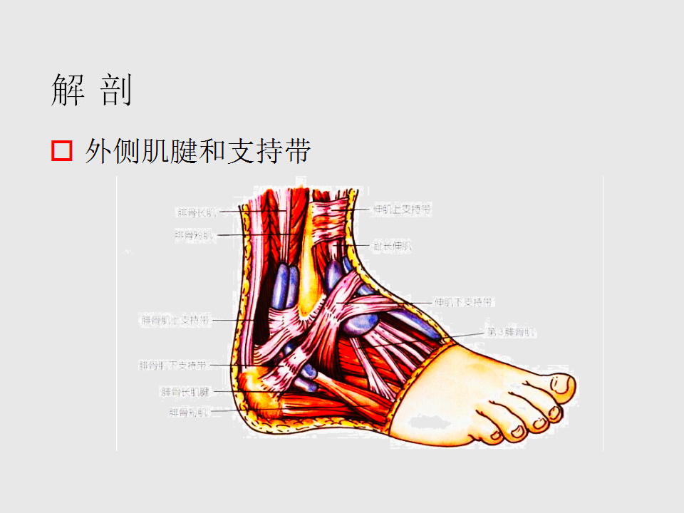 脚崴了怎么办判断是否骨折,脚崴了怎么办视频