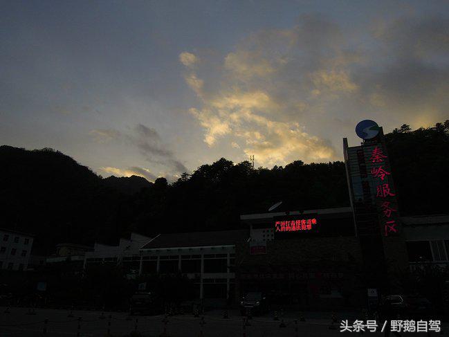 新疆野鹅自驾游视频,野鹅圣诞节自驾游