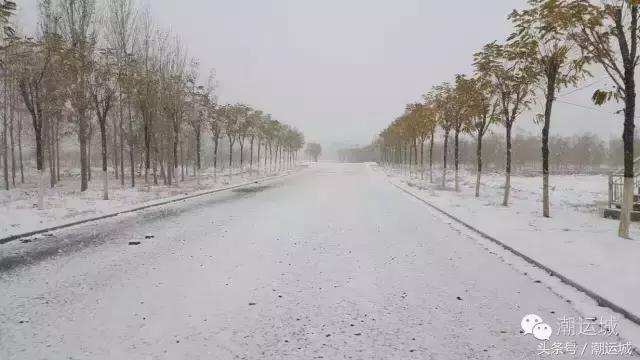运城雪景有多美,山西省运城市第一场雪