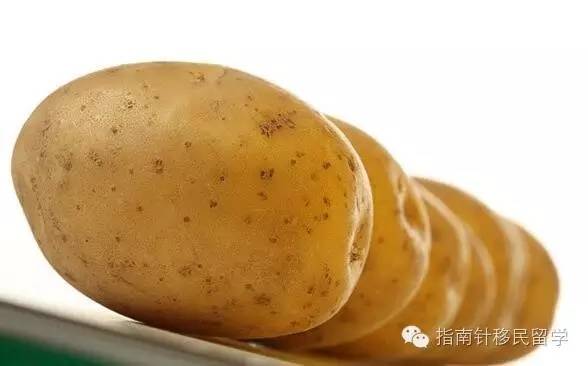 鍚勫浗鐣欏鐢熶紭鍔垮拰鍔ｅ娍,鍚勫浗鐣欏鐢熺浉浜蹭笌鐩哥埍