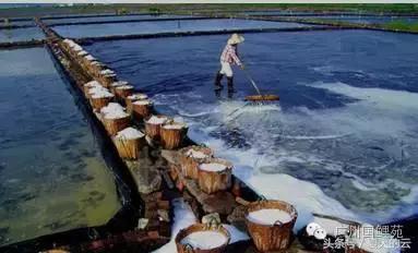 养鱼的专业助手,那些你不知道的有趣软件