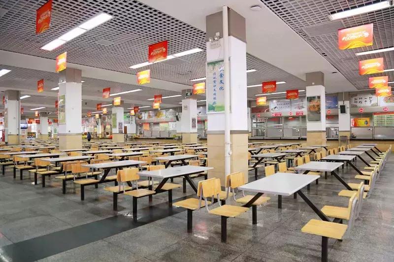 全国十大最美银杏大学,全国最美银杏大学