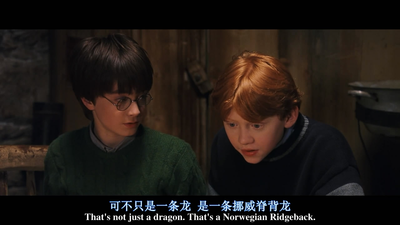 你还记得那颗干鼻屎味道的多味豆吗