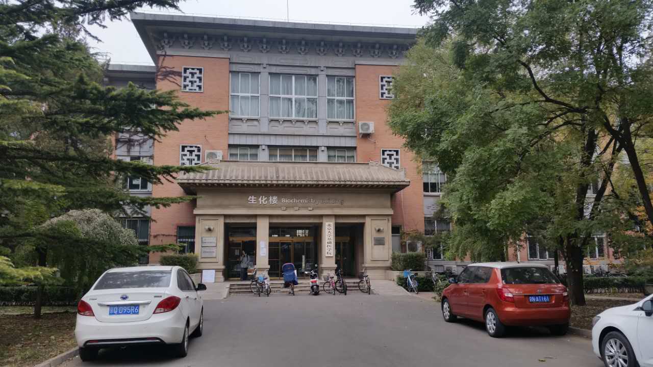 走进北师大,走进京师校园