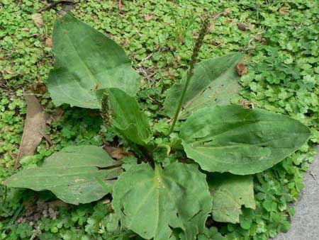 小儿发烧时退烧必备知识，教你科学紧急退烧，避免跑医院打针输液