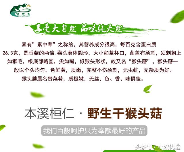 猴头菇推荐店铺,猴头菇的选购