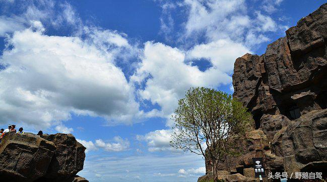 新疆野鹅自驾游视频,野鹅圣诞节自驾游