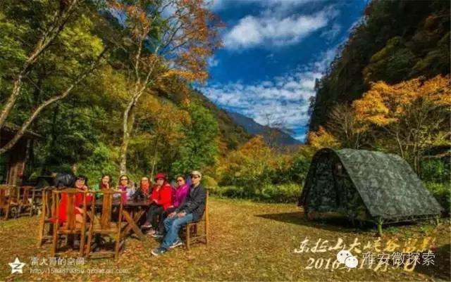 最美的季节,醉美的季节原唱视频