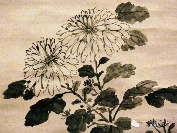 故宫文物菊花,故宫藏菊花长卷