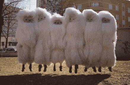 一款非常好用且颜值担当的好物,女神必备精致好物