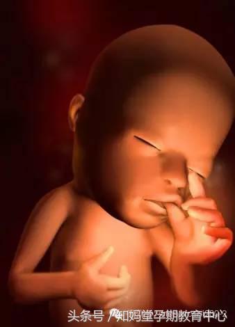 孕期怎么分辨假性宫缩,孕期胎动怎样辨别好坏