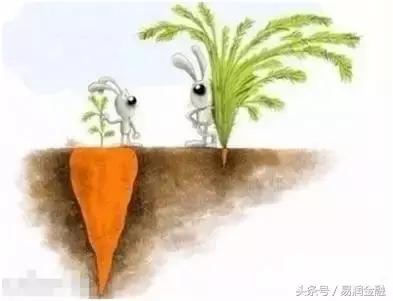 这十张照片将颠覆你的认知,这12张图让你秒懂