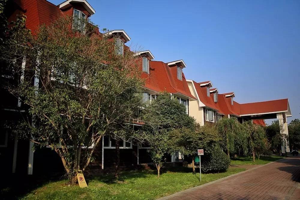 原来在宿舍也可以这么快乐,原来在大连也可以享受洱海