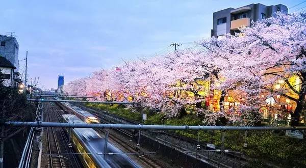 决战双十一发货现场,双十一囤哪些货