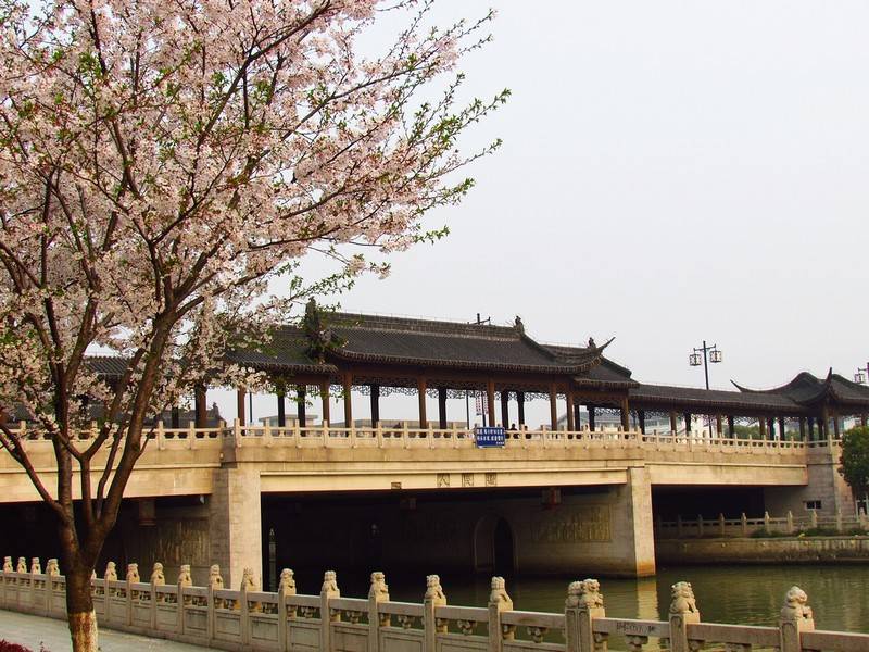 带你去旅游小孩,孩子带我去旅行