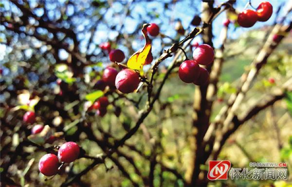 怀化西晃山简介,怀化西晃山风景视频