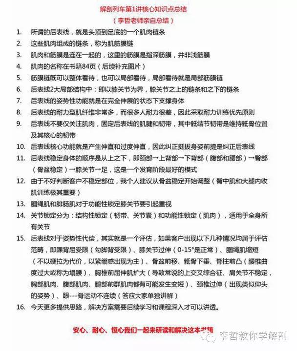 学员精彩笔记(2)|什么是后表线?它到底在人体中扮演怎样的角色