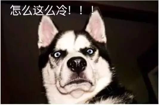 超适合冬天用的保湿面霜,适合冬天用的超保湿面霜