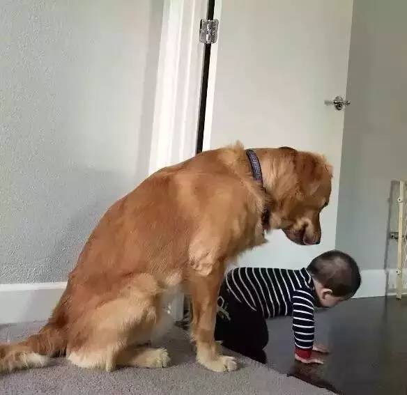 又软又舒服的可爱抱枕,让你幸福感爆棚的可爱抱枕