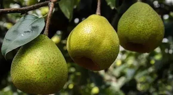 青岛城事,青岛地铁全城通一日票
