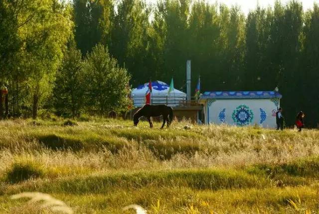 包头市新建体育公园,包头体育公园开始建了吗