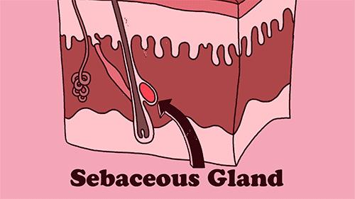 痘印淡化神器推荐第一名,痘印克星