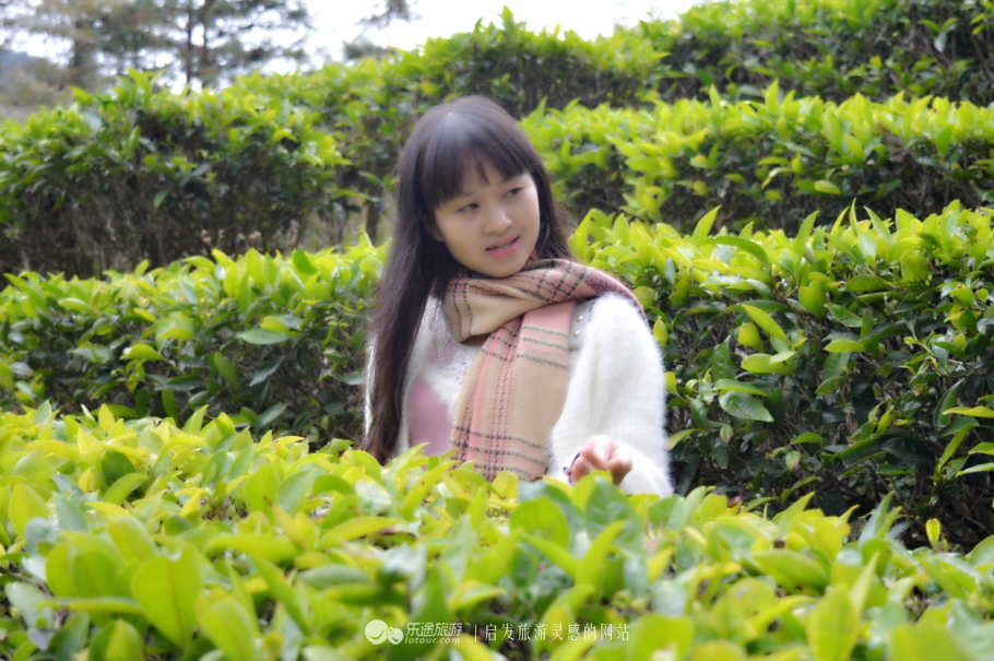 广西贺州姑婆山之景,贺州姑婆山云中仙境