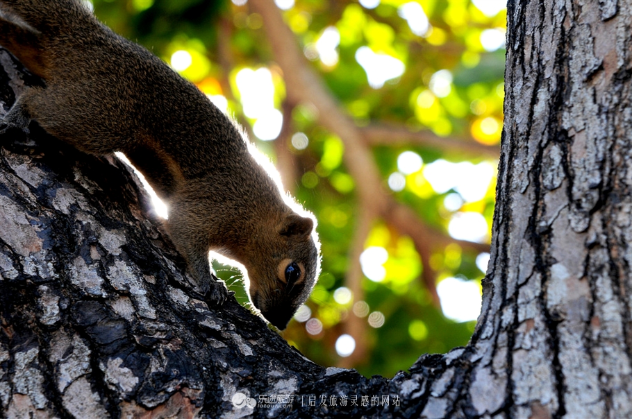 璐甸槼鐑煶spa,娣卞湷鐑煶spa