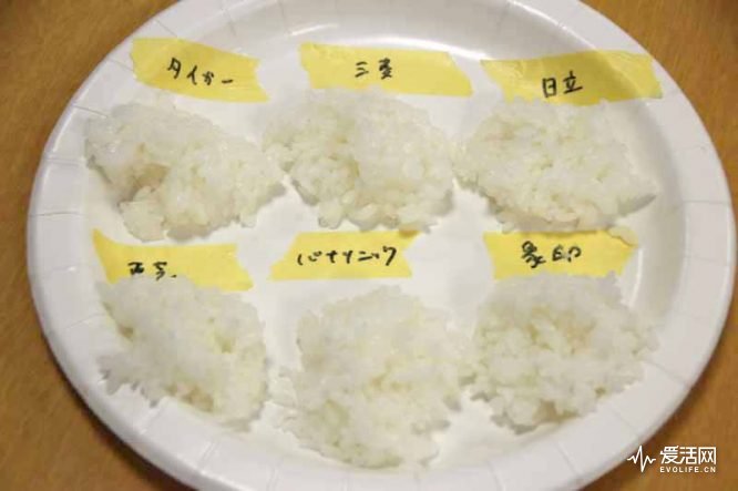 日本电饭煲排行榜第一名,日本电饭煲煮饭对比