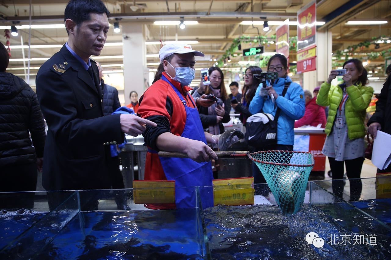 真假?!据说超市里活又游回来了!