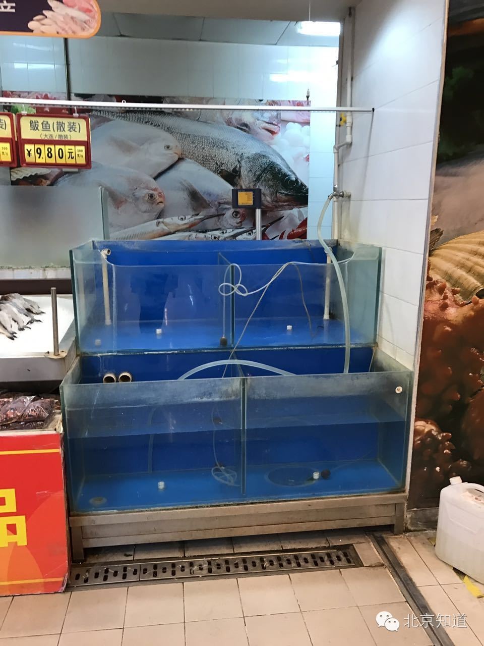 真假?!据说超市里活又游回来了!