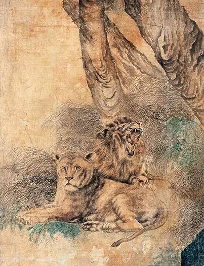 老虎和狮子哪个后肢力量更厉害,古代老虎和狮子对战的纪录