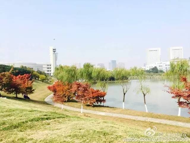 工大附中怎么学的,你咋这么美蒙语怎么说