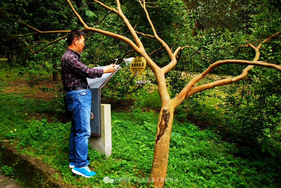 漫步缙云“自然小径”书写自然笔记