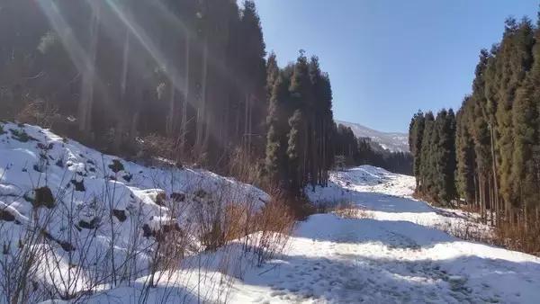 成都非周末徒步户外,冬天成都户外徒步