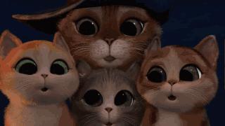 原单跟单和正品的区别,卖的是原单正品如何辨别