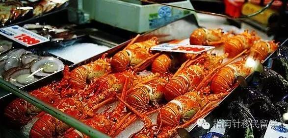 鍚勫浗鐣欏鐢熶紭鍔垮拰鍔ｅ娍,鍚勫浗鐣欏鐢熺浉浜蹭笌鐩哥埍