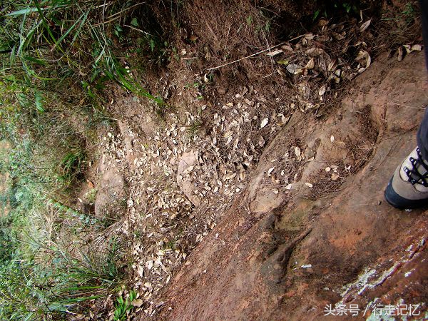 宜宾隐藏打卡地,乐山隐秘秘境