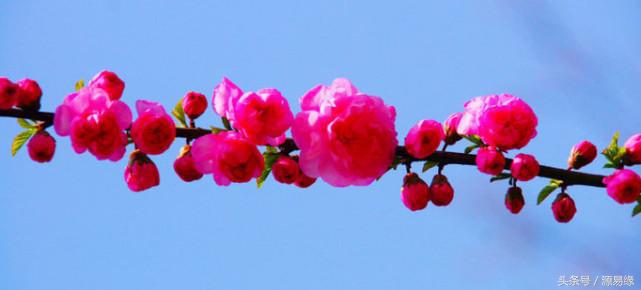 易经错卦有哪几对,易经如何解卦最准